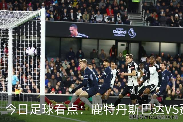 今日足球看点：鹿特丹斯巴达VS费耶诺德，格罗宁根VS乌德勒支