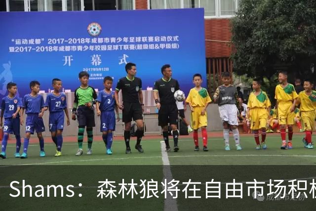 Shams：森林狼将在自由市场积极补强4号位 但他们只能提供底薪